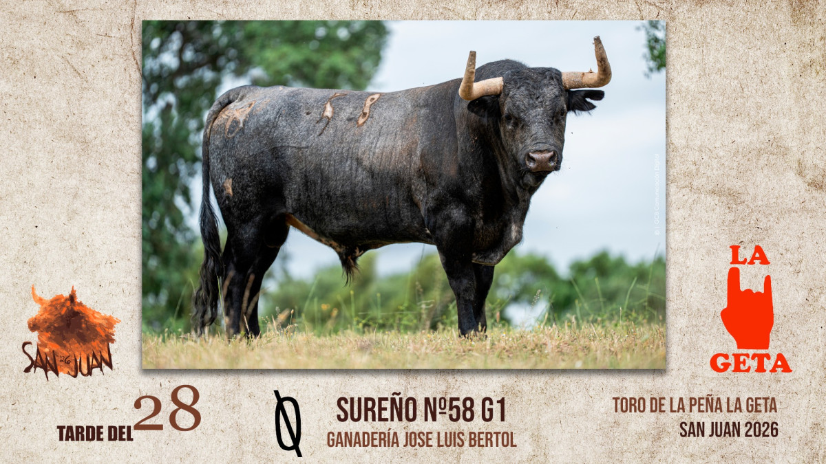 Toro coria tarde 28