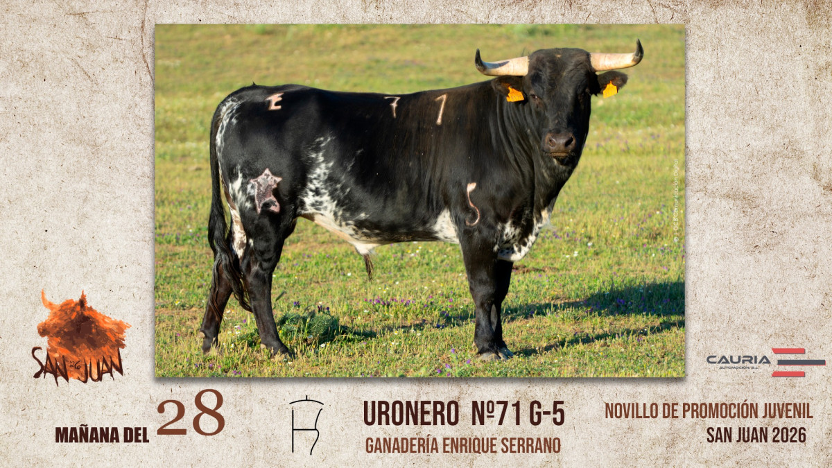 Toro coria mañana 28