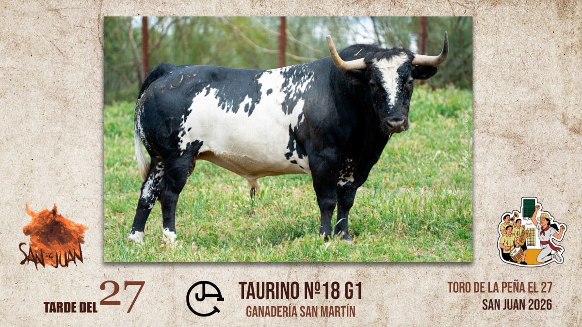 Toro coria tarde 27