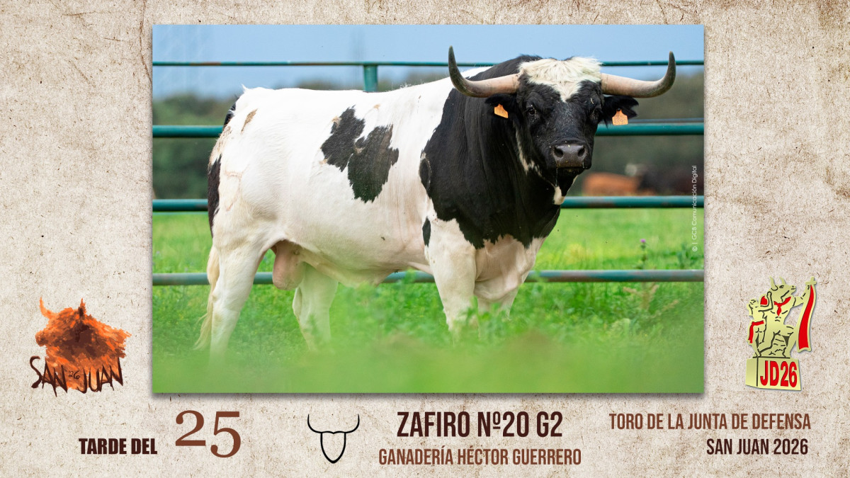 Toro coria tarde 25
