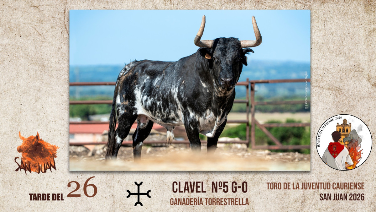 Toro coria tarde 26