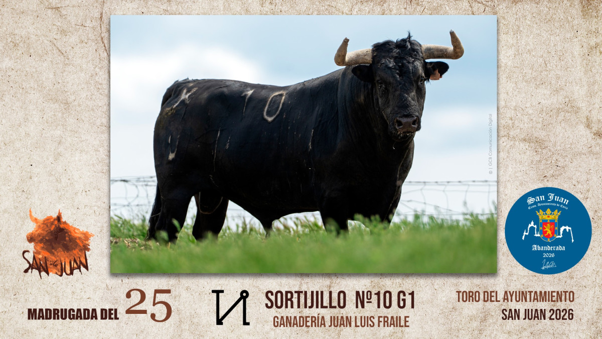 Toro coria madrugada 25
