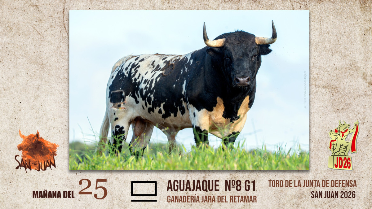 Toro coria mañana 25