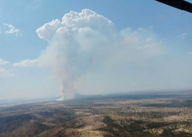 Amplio despliegue del Infoex para frenar dos incendios con nivel 1 de peligrosidad