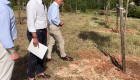 Cáceres planta 60 nuevos árboles en el parque del Príncipe para ampliar las zonas de sombra