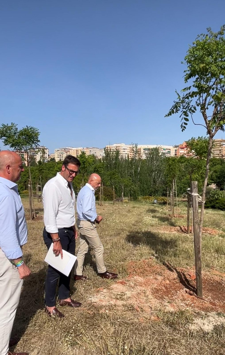 Cáceres planta 60 nuevos árboles en el parque del Príncipe para ampliar las zonas de sombra