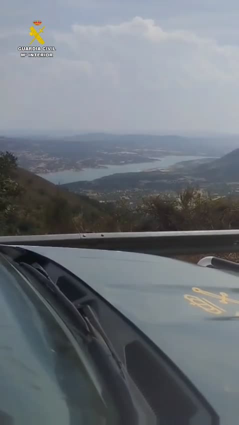 Incendio jarilla cabezabellosa