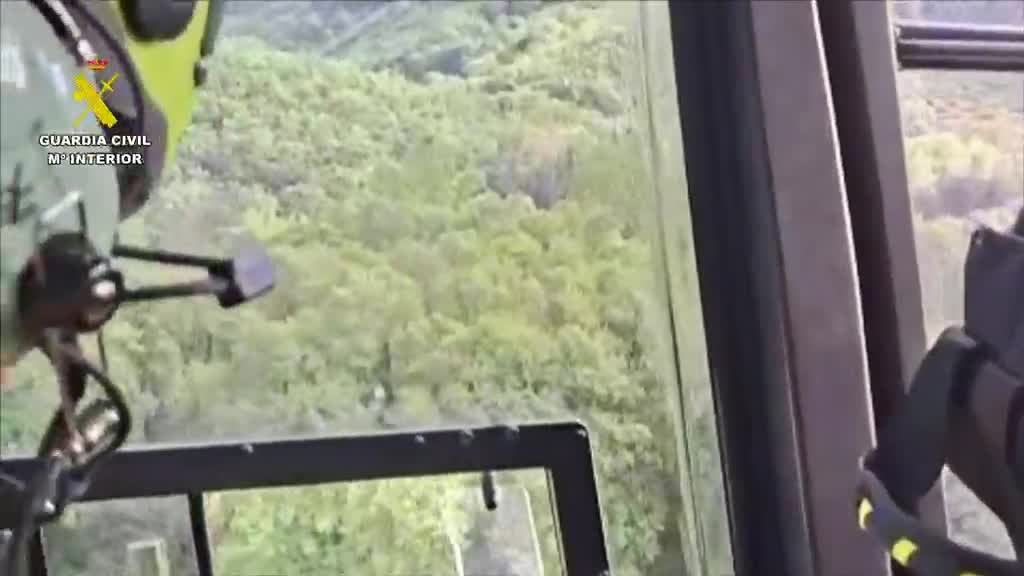 WhatsApp Video 2026 04 19 at 10.43.25