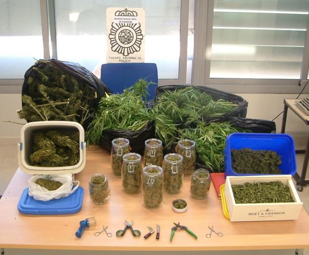 La Policía Nacional de Don Benito interviene once kilos de marihuana y detiene a una pareja de 28 años