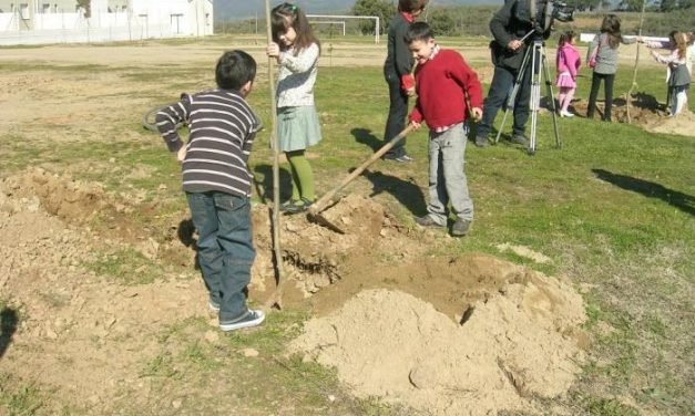 Villanueva de la Sierra recaudará fondos para niños de Perú en la 205 edición de la Fiesta del Árbol