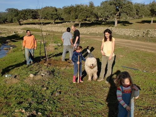 Ecologistas en Acción finaliza la campaña de siembras en la zona del Pilar Viejo de la población de Monesterio