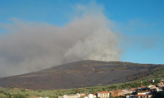 Cáceres acoge esta semana la reunión anual del comité de expertos en la lucha contra incendios forestales