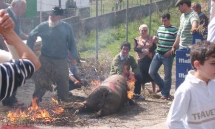 1.500 personas participarán el 20 de marzo en la matanza tradicional hurnada que se celebra en Casares