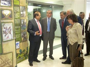 La exposición dedicada al olivar puede visitarse en la Asamblea de Extremadura hasta el 30 de junio