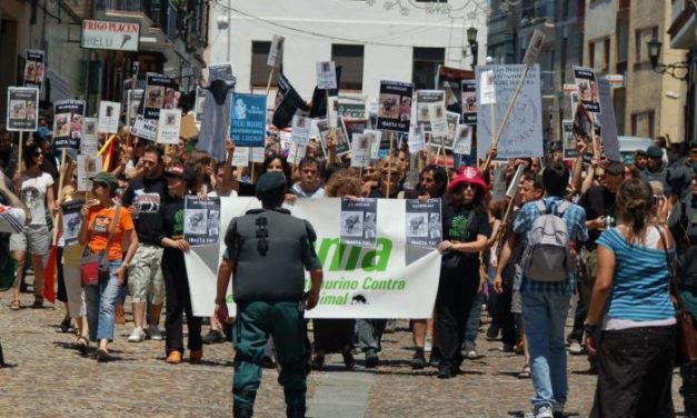 Ecologistas Extremadura se posiciona en defensa de los animales y critica los festejos taurinos de Coria