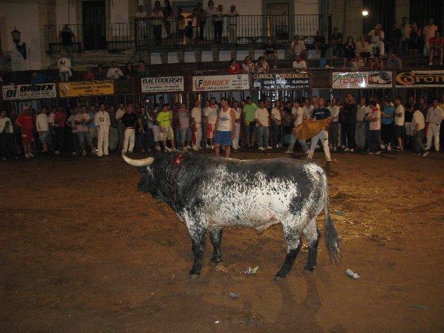 Camillero se convierte en el primer toro en morir pasadas las 23.00 horas debido al retraso en el inicio de la lidia