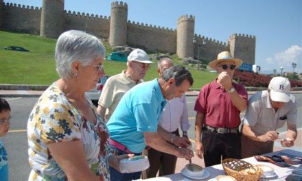 Ovejas merinas de la comarca de La Serena despiertan la curiosidad de cientos de personas en Ávila