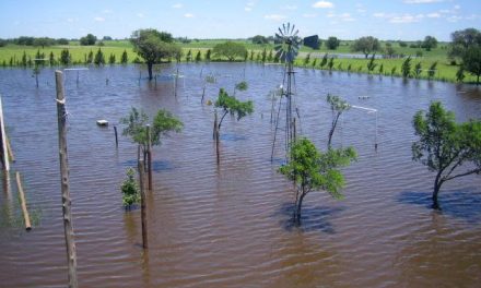 El MARM publica la convocatoria de ayudas destinadas a paliar los daños por catástrofes naturales