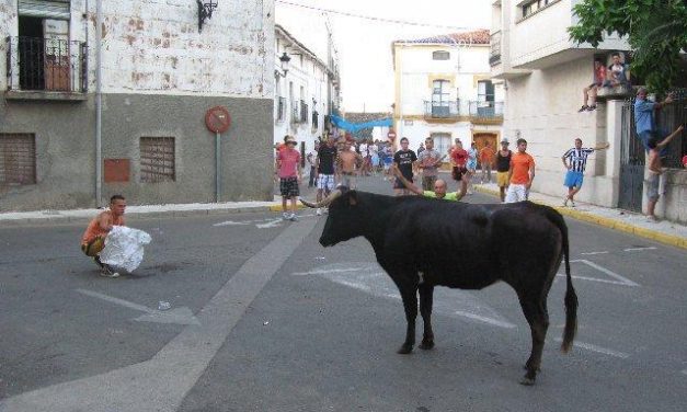 Los primeros festejos taurinos de Moraleja concluyen sin incidentes ni heridos por asta de toro
