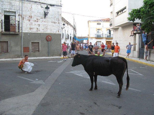 Los primeros festejos taurinos de Moraleja concluyen sin incidentes ni heridos por asta de toro
