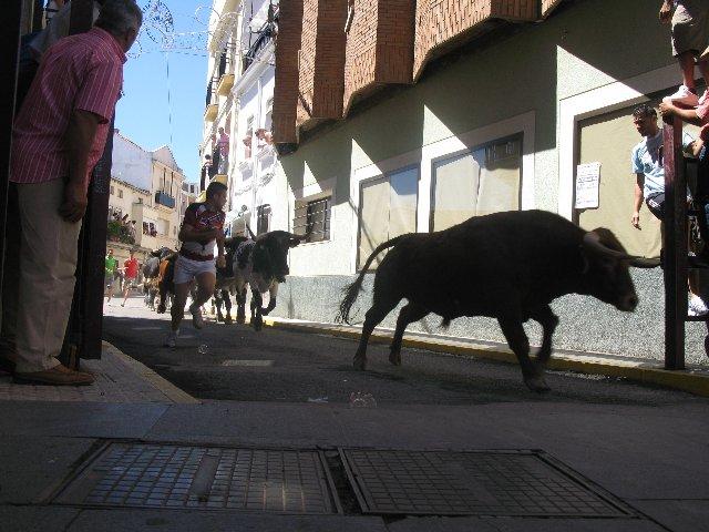 El encierro de los novillos de Cebada Gago se demora en la plaza de los toros hasta pasados los tres minutos