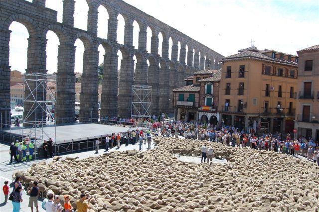 Una fiesta pastoril burgalesa pondrá fin a la trashumancia de las dos mil ovejas de queso de La Serena