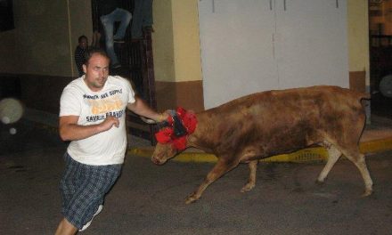 Los últimos festejos taurinos nocturnos en Moraleja concluyen sin incidentes ni heridos por asta de toro