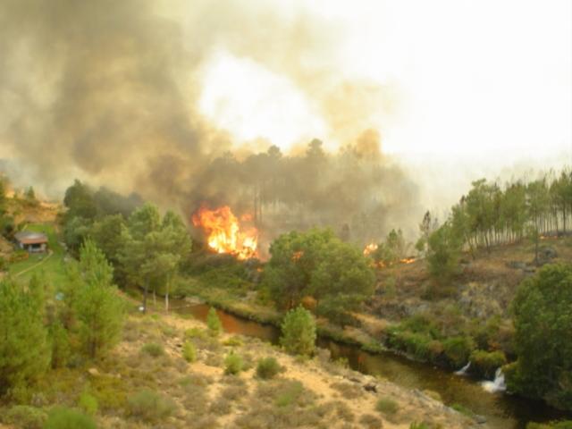 Cáceres acoge un encuentro entre regiones para mejorar la colaboración en la extinción de incendios