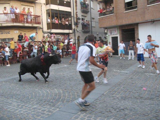 Los festejos populares de San Buenaventura 2010 finalizan sin heridos de gravedad con el novillo de los pastores