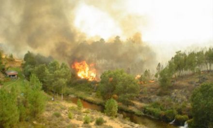 Extremadura declarará la época de peligro medio de incendios si no cambia la previsión meteorológica