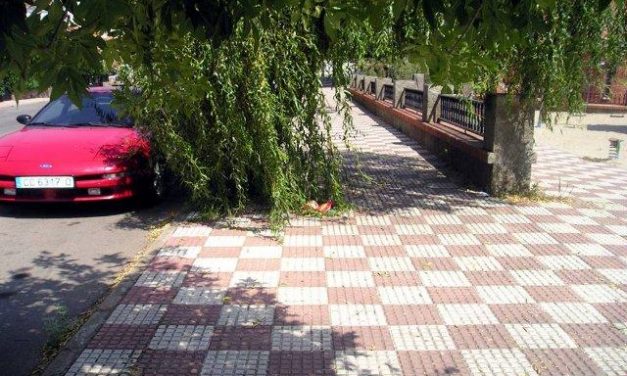 El grupo municipal socialista de Castañar de Ibor denuncia el estado de abandono de calles y zonas verdes