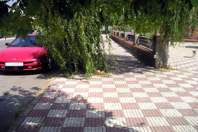 El grupo municipal socialista de Castañar de Ibor denuncia el estado de abandono de calles y zonas verdes