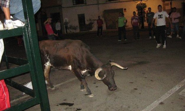 Veinte jóvenes de Zarza la Mayor son denunciados por un supuesto maltrato a una vaquilla durante las fiestas