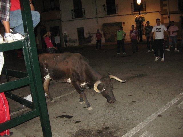 Veinte jóvenes de Zarza la Mayor son denunciados por un supuesto maltrato a una vaquilla durante las fiestas