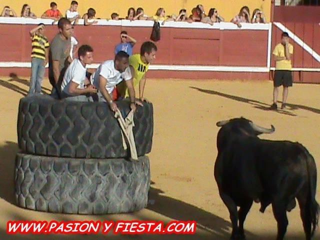 El joven de Valrío herido por un toro en Montehermoso ha despertado del coma aunque su estado sigue siendo grave