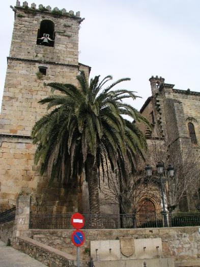 La Guardia Civil sigue la pista de dos cacos que el viernes atracaron Caja Extremadura en Torre de Don Miguel