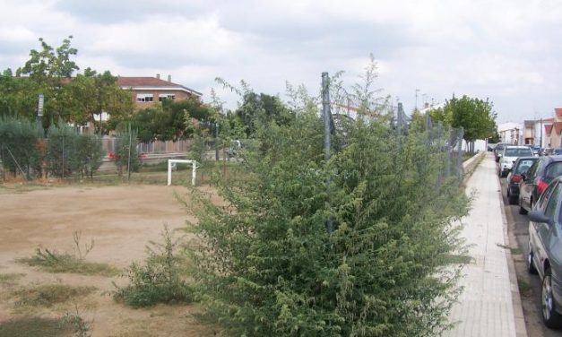 El PP de Moraleja denuncia el «abandono» en el que se encuentran los parques y jardines de la localidad