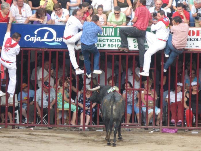 El mundo del toro defiende la nueva regulación de la Junta de Extremadura sobre los festejos tradicionales