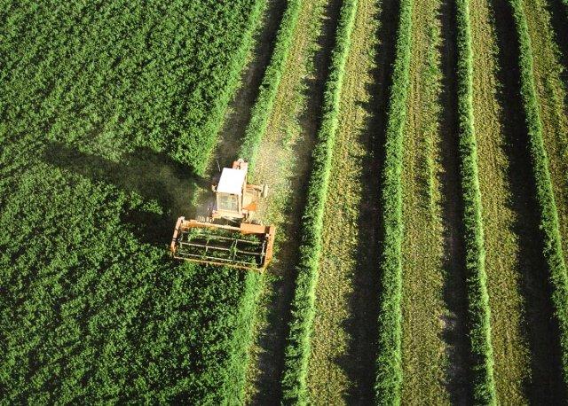 La Entidad Estatal de Seguros Agrarios garantizará la continuidad del centro de estudios de riesgos agrarios