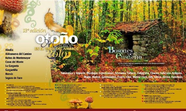 El XIII Otoño Mágico del Valle del Ambroz se celebrará en noviembre dedicado a los «Bosques de Ensueño»