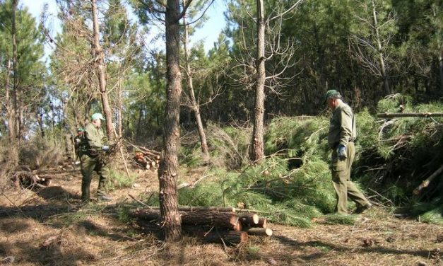 Trabajadores forestales de Las Hurdes exigen jornales en los montes y llegan a un acuerdo con Agroforex