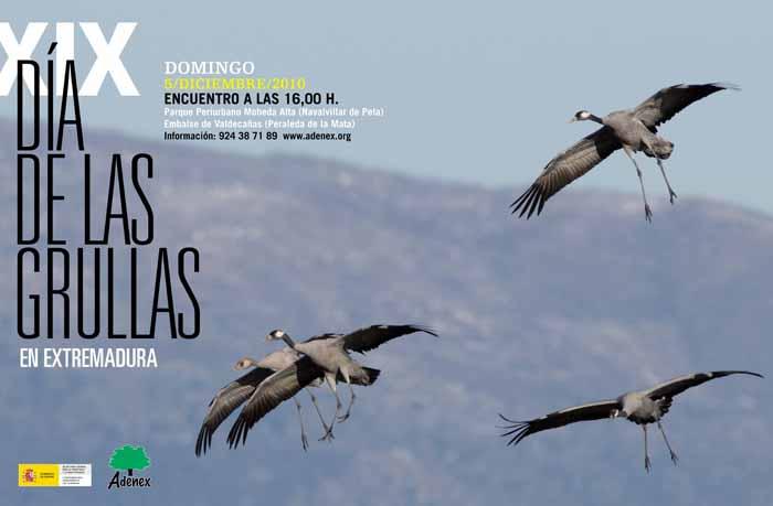 Adenex celebrará este domingo 5 de diciembre la XIX edición del Día de las Grullas en Extremadura