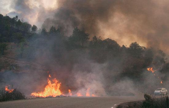 La Junta adjudica por más de 414.900 euros actuaciones en Las Hurdes para prevenir los incendios forestales