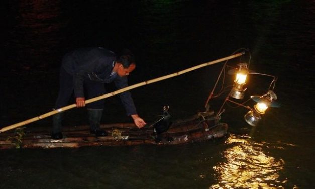 El Consejo Regional de Pesca autoriza la pesca nocturna en los embalses extremeños de Alcántara y de Orellana