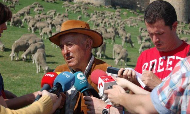 Premian al pastor que hizo la ruta trashumante más larga de Europa con 2.000 ovejas de la DOP Queso de la Serena