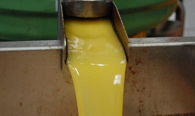 Una metodología innovadora del Intaex transformará el aceite de oliva de la región en pequeñas cápsulas
