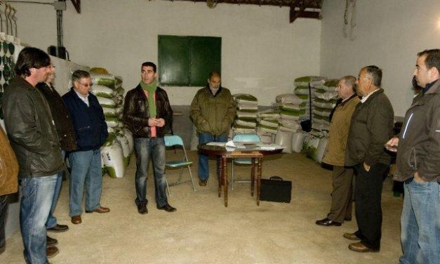 La Diputación adjudica en subasta pública 200 ejemplares de ganado ovino por 20.000 euros