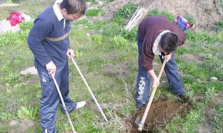 El programa Plantabosques continúa reforestando zonas de la comarca de Las Hurdes durante el fin de semana