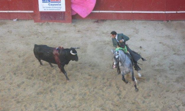 Varios fedatarios recogen firmas en la provincia de Cáceres para que los toros sean Bien de Interés Cultural