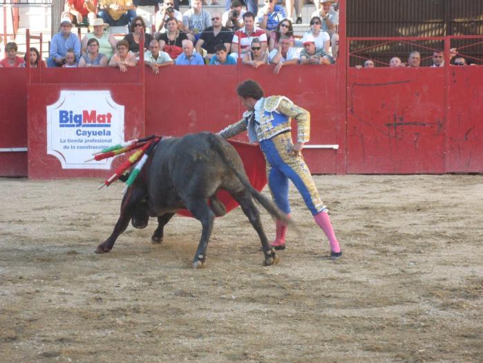 La ganadería El Madroñal participará por primera vez en las fiestas de San Buenaventura en Moraleja